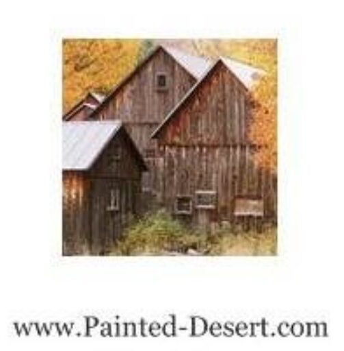 Painted Desert Seed Company